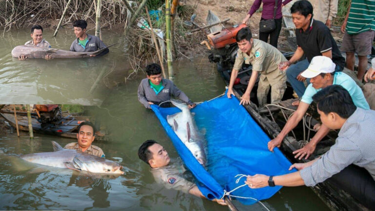 រ៦៩៦៩